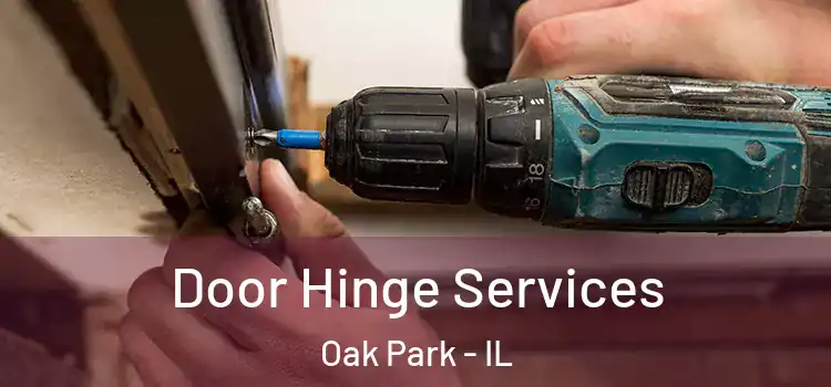 Door Hinge Services Oak Park - IL