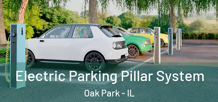 Electric Parking Pillar System Oak Park - IL