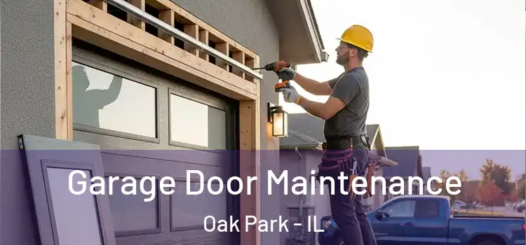 Garage Door Maintenance Oak Park - IL