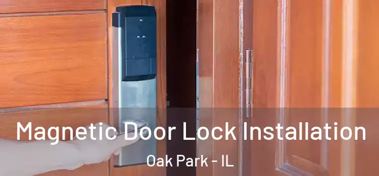  Magnetic Door Lock Installation Oak Park - IL