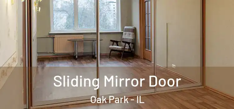  Sliding Mirror Door Oak Park - IL